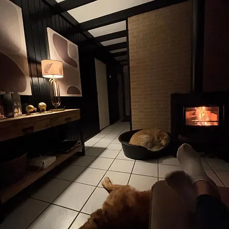 Moderner Gepflegter Nr 142 Ruhiger Bungalow, Strandnah Mit Grossen, Uneinsehbaren Garten, Terrassenueberdachung * Sint Maartensvlotbrug