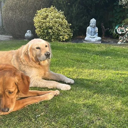 Moderner Gepflegter Nr 142 Ruhiger Bungalow, Strandnah Mit Grossen, Uneinsehbaren Garten, Terrassenueberdachung Дом отдыха *