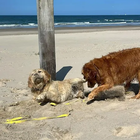 Moderner Gepflegter Nr 142 Ruhiger Bungalow, Strandnah Mit Grossen, Uneinsehbaren Garten, Terrassenueberdachung Prázdninový dům *