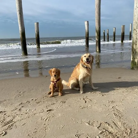 Moderner Gepflegter Nr 142 Ruhiger Bungalow, Strandnah Mit Grossen, Uneinsehbaren Garten, Terrassenueberdachung Prázdninový dům *