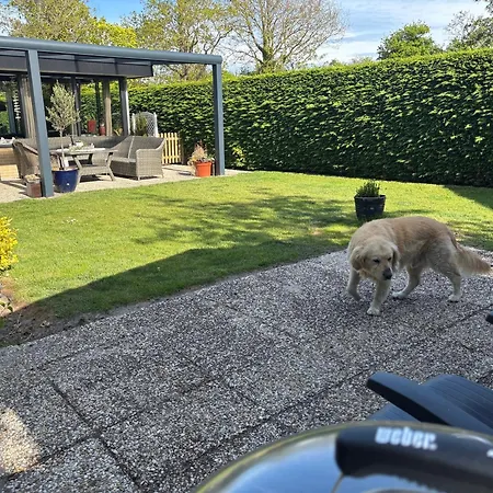 Ruhiger Nr 142 Bungalow, Strandnah Mit Grossen, Uneinsehbaren Garten, Terrassenueberdachung Dom wakacyjny Sint Maartensvlotbrug