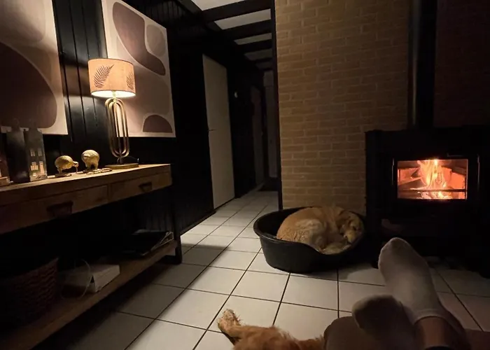 Ruhiger Nr 142 Bungalow, Strandnah Mit Grossen, Uneinsehbaren Garten, Terrassenueberdachung * Sint Maartensvlotbrug