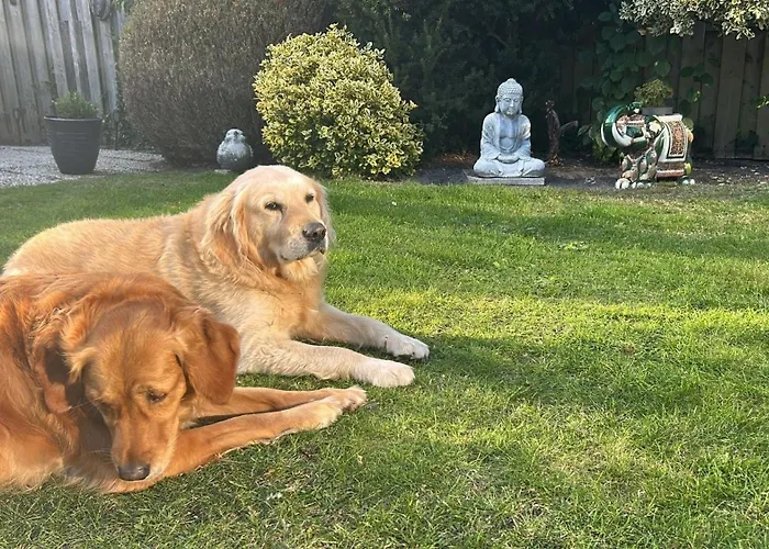 Ruhiger Nr 142 Bungalow, Strandnah Mit Grossen, Uneinsehbaren Garten, Terrassenueberdachung 度假居 *