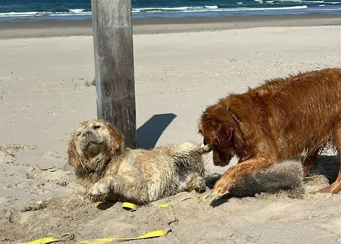 Ruhiger Nr 142 Bungalow, Strandnah Mit Grossen, Uneinsehbaren Garten, Terrassenueberdachung 度假居 *