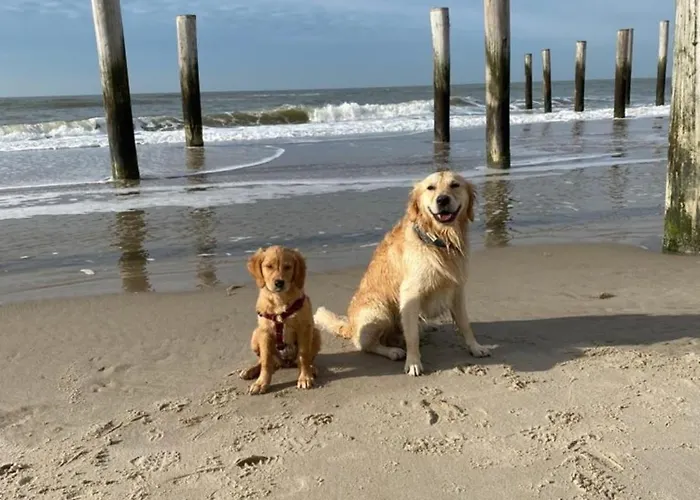 Ruhiger Nr 142 Bungalow, Strandnah Mit Grossen, Uneinsehbaren Garten, Terrassenueberdachung 度假居 *